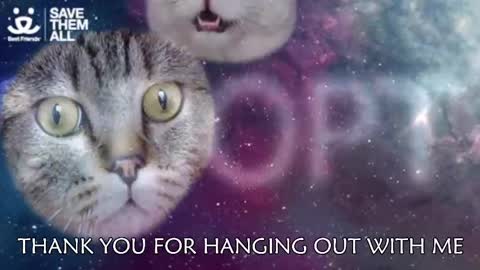 Amber online show from 5, 3, 2025