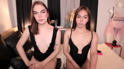 BIGCOCK AMBER online show from 2, 12, 2025