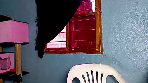 Amelia  Lucas online show from 17, 11, 2025