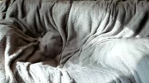 Olive  Walter online show from 24, 10, 2025