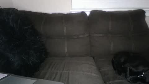 amiri_sweater online show from 2, 3, 2025