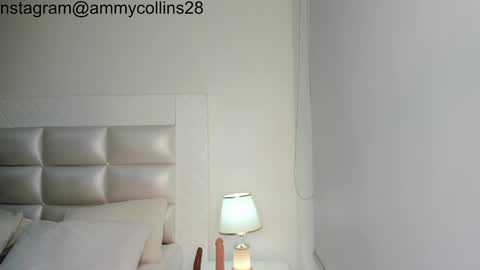    online show from 19, 12, 2024