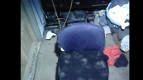 SubboyShivan online show from 30, 12, 2024