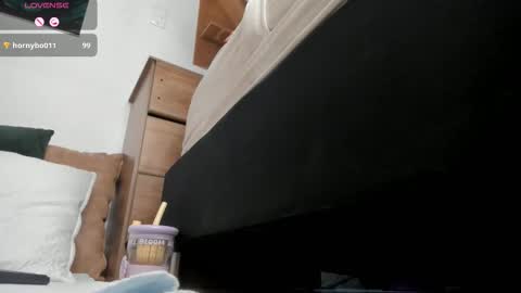 Bel online show from 7, 3, 2026