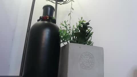 Amy  online show from 4, 2, 2025