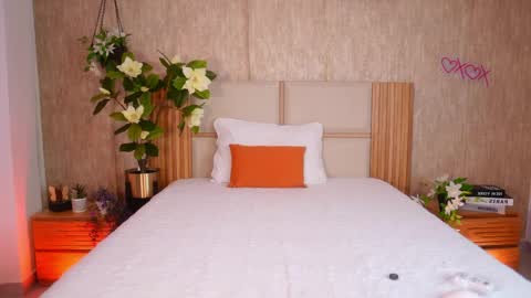 Snapshot of ana_maria11 chatting on 5, 4, 2026 Ana online show from 5, 4, 2026