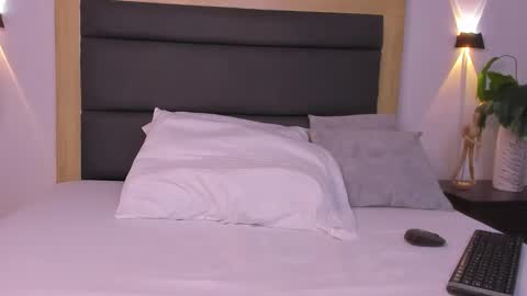 A N A online show from 18, 11, 2025