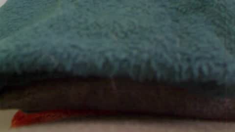 Snapshot of anaiserebel chatting on 4, 1, 2025 anaiserebel online show from 4, 1, 2025