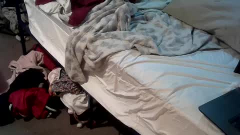 Snapshot of analwhore666 chatting on 26, 12, 2024 kinkylilanalslut online show from 26, 12, 2024