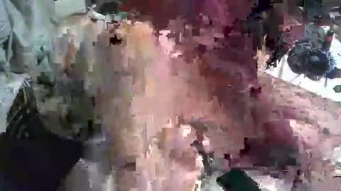 Snapshot of analwhore666 chatting on 23, 1, 2025 kinkylilanalslut online show from 23, 1, 2025