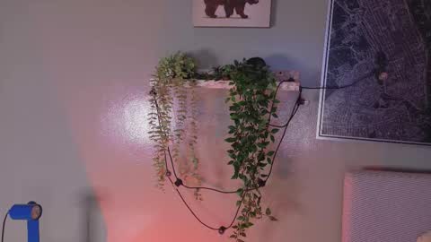 Kendra  online show from 20, 2, 2026