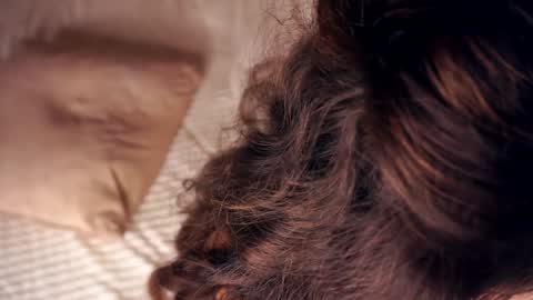 Angelica online show from 20, 1, 2025