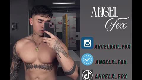 Angel Fox online show from 9, 9, 2025
