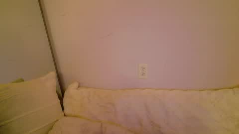 meow online show from 8, 11, 2025