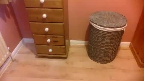 annecharlie online show from 16, 11, 2025