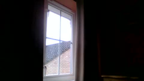 annecharlie online show from 10, 1, 2026