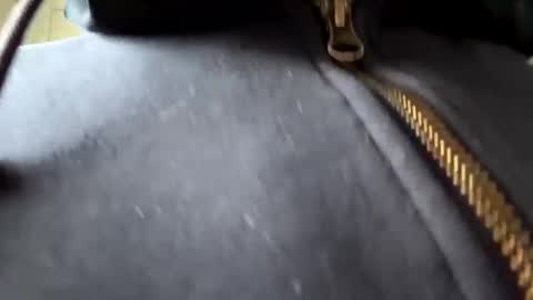 Snapshot of anonomousloser chatting on 6, 1, 2025 anonomousloser online show from 6, 1, 2025