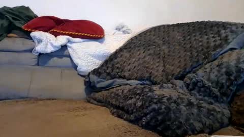 anonymousex15 online show from 30, 11, 2025