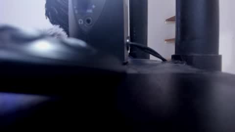 ANTO  online show from 15, 10, 2025