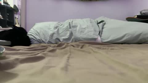 Snapshot of anytimexcowboy chatting on 4, 12, 2025 cowboy online show from 4, 12, 2025