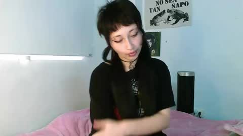 aoi_dandelion online show from 6, 1, 2025