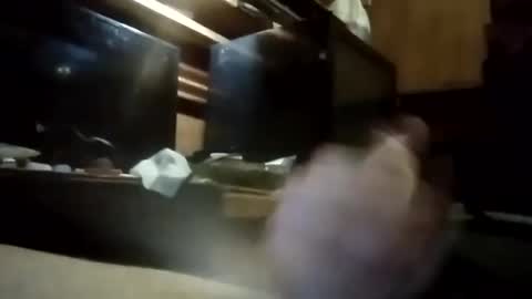 apocolypseanomaly online show from 3, 1, 2025