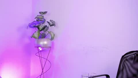   online show from 19, 1, 2025