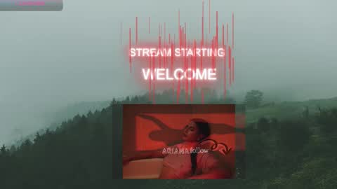 Snapshot of ari_bastett chatting on 21, 10, 2025 Ariana online show from 21, 10, 2025