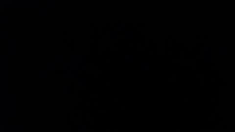 ARIANNA  online show from 3, 2, 2026