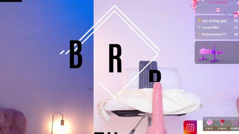 Aria online show from 15, 12, 2024