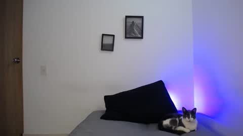 Snapshot of aria_jhonsson777 chatting on 19, 12, 2024 777 online show from 19, 12, 2024