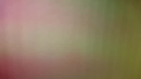 armado78 online show from 6, 4, 2026