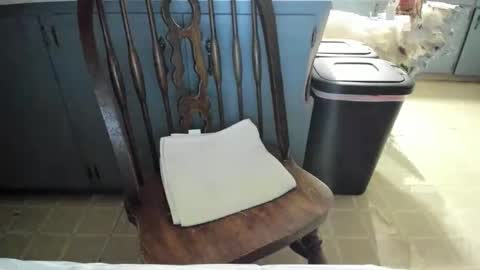 armalite16 online show from 13, 11, 2025