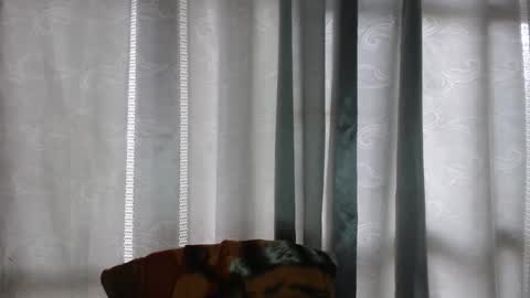 Snapshot of armando_2002 chatting on 16, 12, 2025 ARMANDO online show from 16, 12, 2025