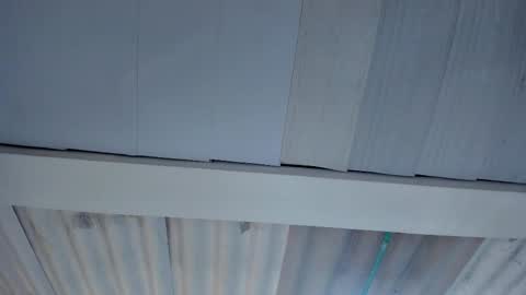 FENIX online show from 15, 10, 2025