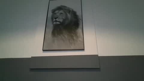 Snapshot of arthure944491 chatting on 29, 10, 2025 arthure944491 online show from 29, 10, 2025