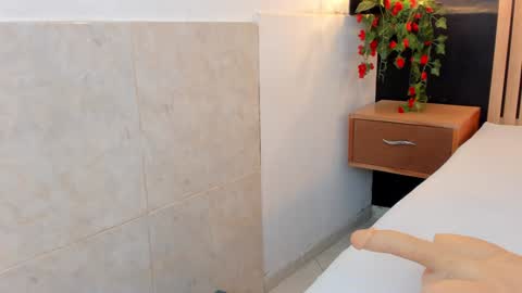 Ana online show from 29, 12, 2024