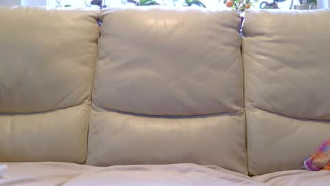 aryton_67 online show from 26, 1, 2025