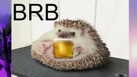 Snapshot of asheluck chatting on 16, 2, 2025 AshleyAshe online show from 16, 2, 2025