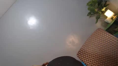 Reyshell online show from 14, 2, 2026