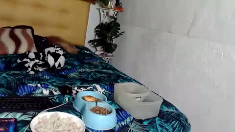 Snapshot of asianladyboy888 chatting on 24, 11, 2025 asianladyboy888 online show from 24, 11, 2025