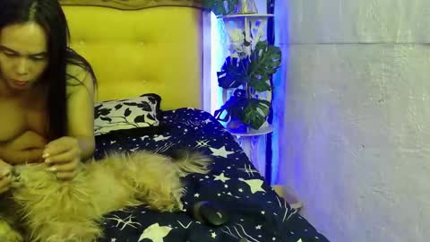 asianladyboy888 online show from 11, 3, 2026