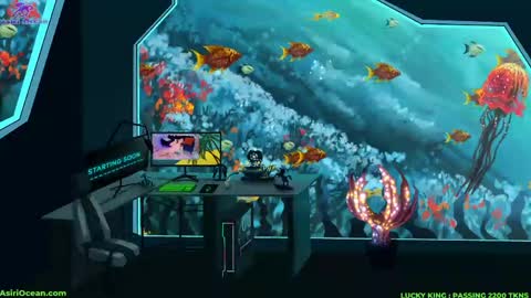 Asiri   pronounced Ah-siri Please no nicknames   3 online show from 23, 3, 2026