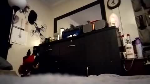 askme2shou online show from 27, 11, 2025