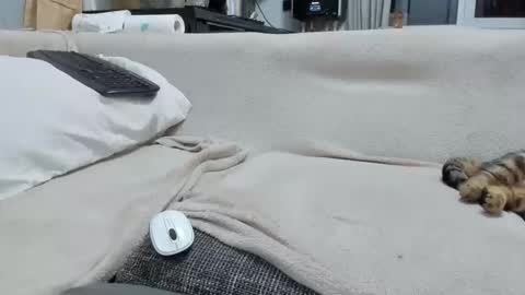 MARCO online show from 2, 12, 2025