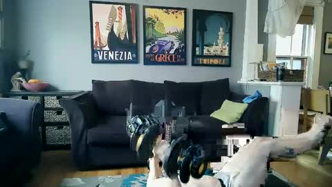 assmaster_6100 online show from 11, 2, 2025