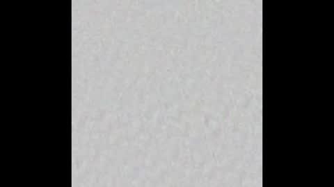 Auris online show from 1, 2, 2026