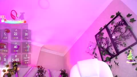 Aurora online show from 4, 12, 2025