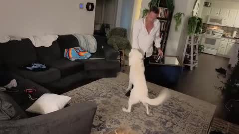 Snapshot of auroraandorion chatting on 16, 10, 2025 Aurora and Orion online show from 16, 10, 2025