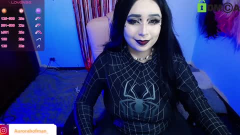 Aurora online show from 4, 12, 2024